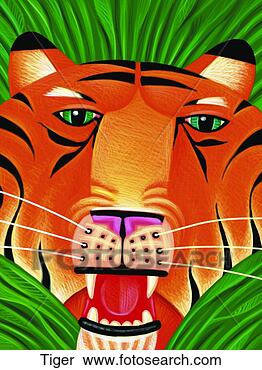 Stock Illustration - tiger. fotosearch 
- search clipart, 
illustration, 
drawings and vector 
eps graphics images