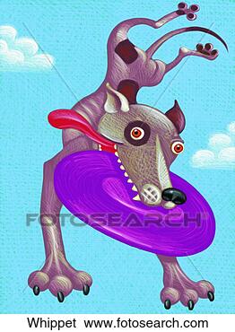 Stock Illustration - whippet. fotosearch 
- search clipart, 
illustration, 
drawings and vector 
eps graphics images