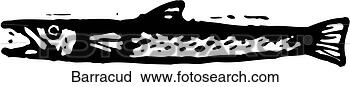 Clipart - barracuda. fotosearch 
- search clipart, 
illustration, 
drawings and vector 
eps graphics images