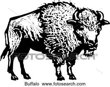 buffel