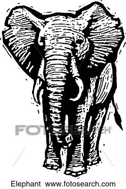 Clip Art - elephant. fotosearch 
- search clipart, 
illustration, 
drawings and vector 
eps graphics images