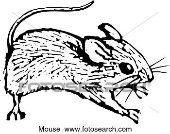 Clipart - mouse. fotosearch 
- search clipart, 
illustration, 
drawings and vector 
eps graphics images
