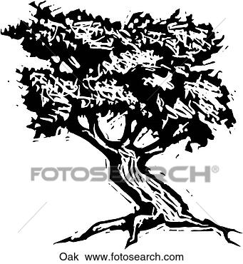 Clipart - oak. fotosearch 
- search clipart, 
illustration, 
drawings and vector 
eps graphics images