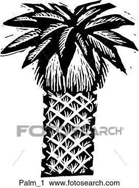 Clipart - palm tree. fotosearch 
- search clipart, 
illustration, 
drawings and vector 
eps graphics images
