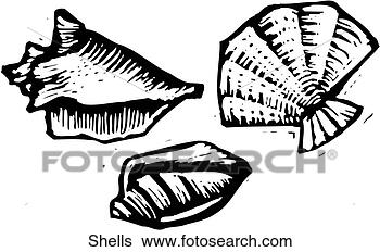Clip Art - shells. fotosearch 
- search clipart, 
illustration, 
drawings and vector 
eps graphics images