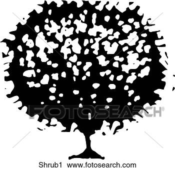 Clipart - shrub 1. fotosearch 
- search clipart, 
illustration, 
drawings and vector 
eps graphics images