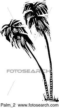 Clipart - tall palms. fotosearch 
- search clipart, 
illustration, 
drawings and vector 
eps graphics images