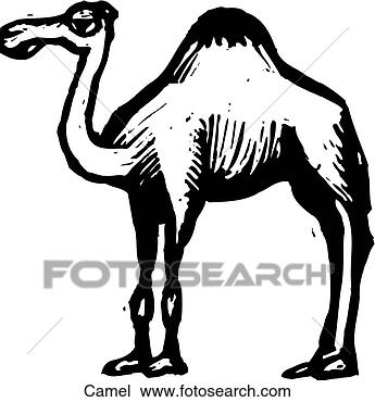 camel clip art