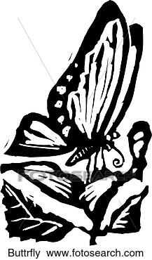 Clip Art - butterfly. fotosearch 
- search clipart, 
illustration, 
drawings and vector 
eps graphics images