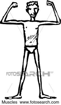 Clip Art - muscles. fotosearch 
- search clipart, 
illustration, 
drawings and vector 
eps graphics images