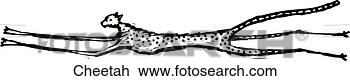 Clipart - cheetah. fotosearch 
- search clipart, 
illustration, 
drawings and vector 
eps graphics images