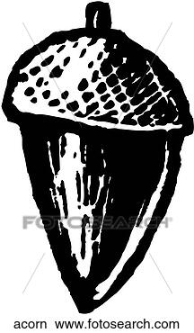 [http://comps.fotosearch.com/comp/ARP/ARP123/acorn_~acorn.jpg]