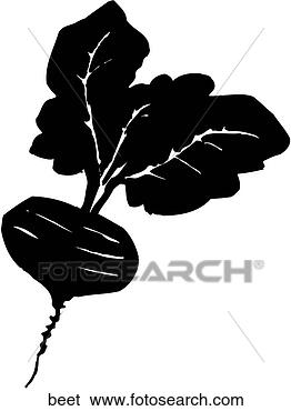 Clip Art - beet. fotosearch 
- search clipart, 
illustration, 
drawings and vector 
eps graphics images