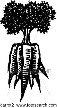 Clipart - carrot 2. fotosearch 
- search clipart, 
illustration, 
drawings and vector 
eps graphics images