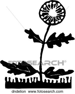 Clipart - dandelion. fotosearch 
- search clipart, 
illustration, 
drawings and vector 
eps graphics images