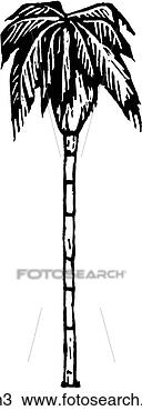 Clipart - palm 3. fotosearch 
- search clipart, 
illustration, 
drawings and vector 
eps graphics images