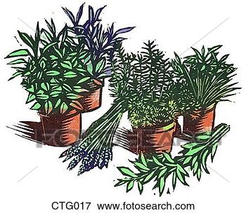 Arquivos de Ilustração - potted,  plantas, 
 cuttings. fotosearch 
- busca de ilustrações 
clipeart e desenhos