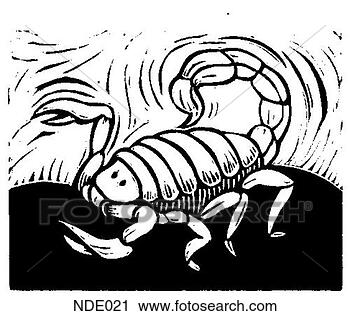 Clipart - scorpion. fotosearch 
- search clipart, 
illustration, 
drawings and vector 
eps graphics images