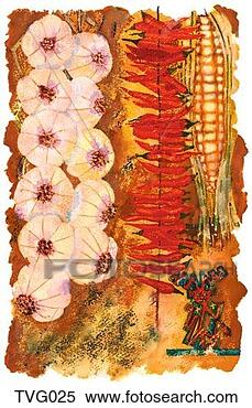 Stock Illustration - chile & garlic 
ristras. fotosearch 
- search clipart, 
illustration, 
drawings and vector 
eps graphics images