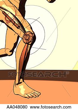 Stock Illustration - human leg with 
artificial joint. 
fotosearch - search 
clipart, illustration, 
drawings and vector 
eps graphics images