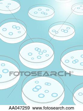 Stock Illustration - petri dishes. 
fotosearch - search 
clipart, illustration, 
drawings and vector 
eps graphics images