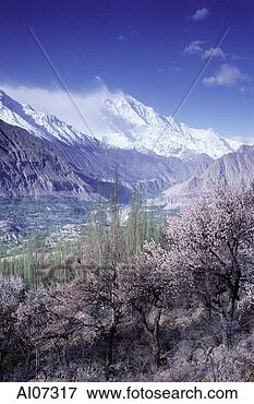 Picture - pakistan, northern 
areas, hunza valley, 
rakaposhi peak. 
fotosearch - search 
stock photos, 
pictures, images, 
and photo clipart