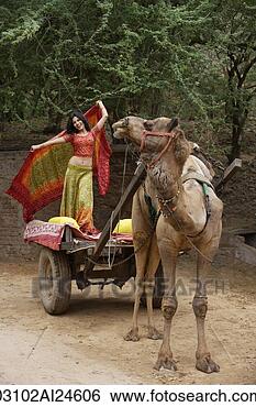 Stock Photo - young woman in 
sari, posing on 
camel cart. fotosearch 
- search stock 
photos, pictures, 
images, and photo 
clipart