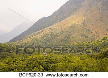 Stock Photo - forested mountains 
with roof of pagoda. 
fotosearch - search 
stock photos, 
pictures, images, 
and photo clipart