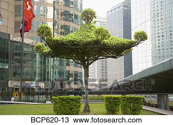 Stock Photo - pagoda topiary 
in square with 
skyscrapers. fotosearch 
- search stock 
photos, pictures, 
images, and photo 
clipart
