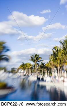 Stock Photo - sky and palm trees 
at tropical resort. 
fotosearch - search 
stock photos, 
pictures, images, 
and photo clipart
