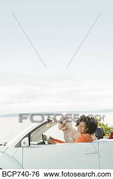 Stock Photo - african woman 
and dog in convertible 
car. fotosearch 
- search stock 
photos, pictures, 
images, and photo 
clipart