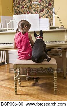 Stock Photography - dog watching girl 
play piano. fotosearch 
- search stock 
photos, pictures, 
images, and photo 
clipart