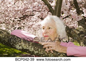 Stock Photograph - older woman posing 
with flowering 
tree. fotosearch 
- search stock 
photos, pictures, 
images, and photo 
clipart