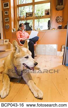 Stock Photo - dog with woman 
using laptop. 
fotosearch - search 
stock photos, 
pictures, images, 
and photo clipart