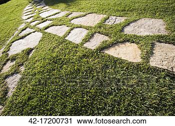 Stock Photography - detail of stone 
walkway through 
grass. fotosearch 
- search stock 
photos, pictures, 
images, and photo 
clipart