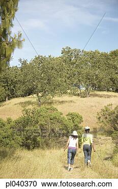 Stock Photography - rear view of two 
young women hiking 
in the forest. 
fotosearch - search 
stock photos, 
pictures, images, 
and photo clipart