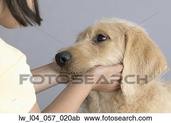 Stock Photography - child with a pet 
dog. fotosearch 
- search stock 
photos, pictures, 
images, and photo 
clipart
