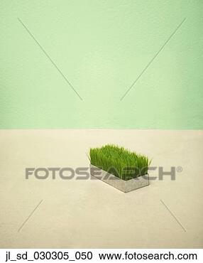 Stock Photography - high angle view 
of saplings on 
the floor. fotosearch 
- search stock 
photos, pictures, 
images, and photo 
clipart