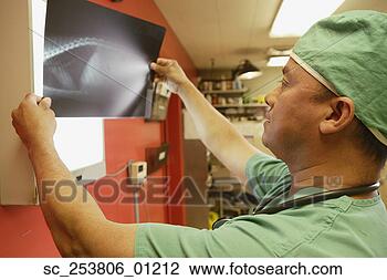 Stock Photo - veterinarian examining 
animal x-ray. 
fotosearch - search 
stock photos, 
pictures, images, 
and photo clipart