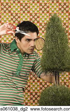 Stock Photo - young man trimming 
a shrub with hand 
scissors. fotosearch 
- search stock 
photos, pictures, 
images, and photo 
clipart
