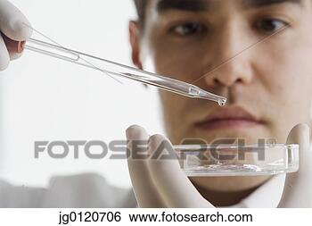 Stock Photo - scientist dropping 
chemicals into 
a petri dish. 
fotosearch - search 
stock photos, 
pictures, images, 
and photo clipart