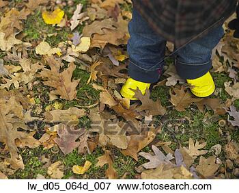 Picture - close up of young 
child's boots 
in the leaves, 
toronto, canada. 
fotosearch - search 
stock photos, 
pictures, images, 
and photo clipart