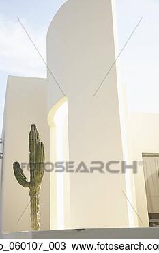 Stock Photo - saguaro cactus 
next to outdoor 
wall, los cabos, 
mexico. fotosearch 
- search stock 
photos, pictures, 
images, and photo 
clipart