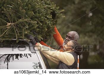 Stock Photo - senior african 
couple putting 
a christmas tree 
on top of the 
car. fotosearch 
- search stock 
photos, pictures, 
images, and photo 
clipart