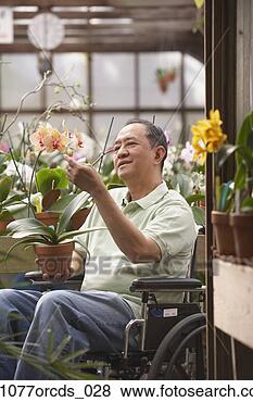 Stock Photo - senior asian man 
in wheelchair 
in greenhouse. 
fotosearch - search 
stock photos, 
pictures, images, 
and photo clipart