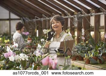 Stock Photography - senior asian woman 
on cell phone 
in greenhouse. 
fotosearch - search 
stock photos, 
pictures, images, 
and photo clipart