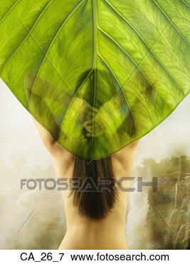 Picture - woman with bare 
back behind leaf. 
fotosearch - search 
stock photos, 
pictures, images, 
and photo clipart