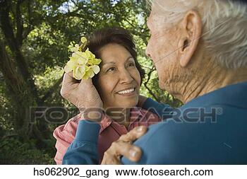Stock Photo - senior man putting 
flower in senior 
woman's hair. 
fotosearch - search 
stock photos, 
pictures, images, 
and photo clipart