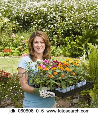 Stock Photo - woman with flat 
of plants in garden. 
fotosearch - search 
stock photos, 
pictures, images, 
and photo clipart