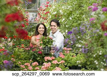 Stock Photograph - hispanic couple 
at plant nursery. 
fotosearch - search 
stock photos, 
pictures, images, 
and photo clipart